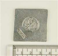 M0537 kt2.jpg; M0537; Daalder; muntheer: Deventer; muntplaats: Deventer noodmunt, keerzijde met opschrift; munt